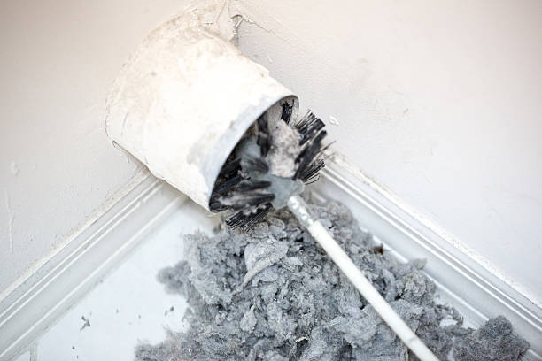 Best Mold and Mildew Removal from Ducts in Placentia, CA